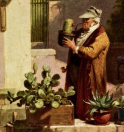 Gemälde von Carl Spitzweg: Der Kaktusfreund, um 1856
